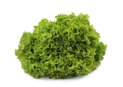 Салат романо 1 кг - купить в Песчаноозерке